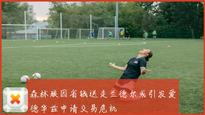 森林狼因省钱送走兰德尔或引发爱德华兹申请交易危机