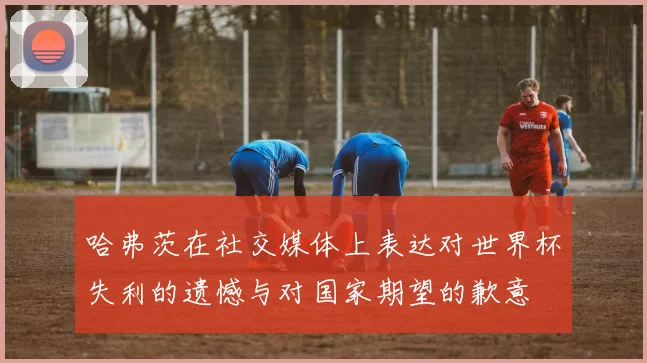 哈弗茨在社交媒体上表达对世界杯失利的遗憾与对国家期望的歉意